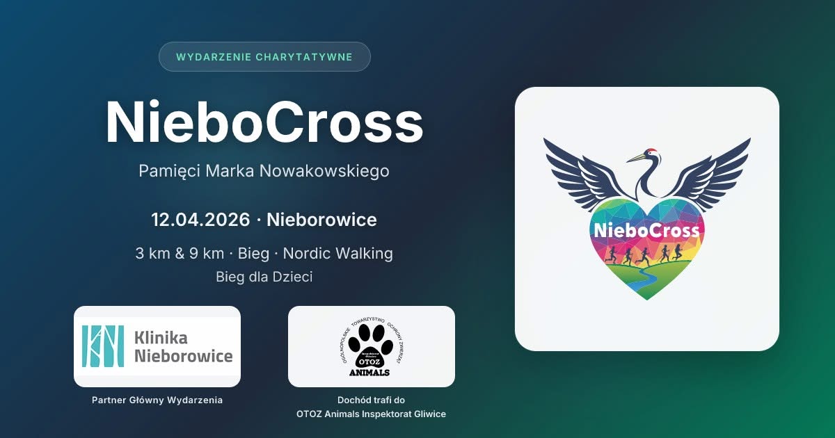 Główny obrazek posta