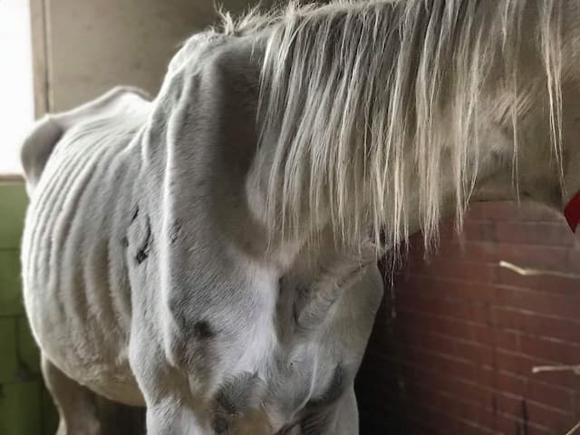 Patryk przed leczeniem